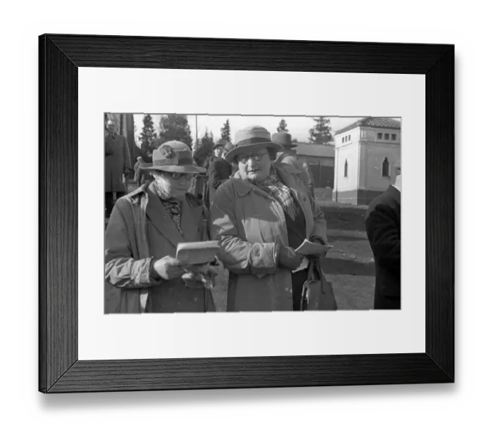 Framed Print : Ladies Choice