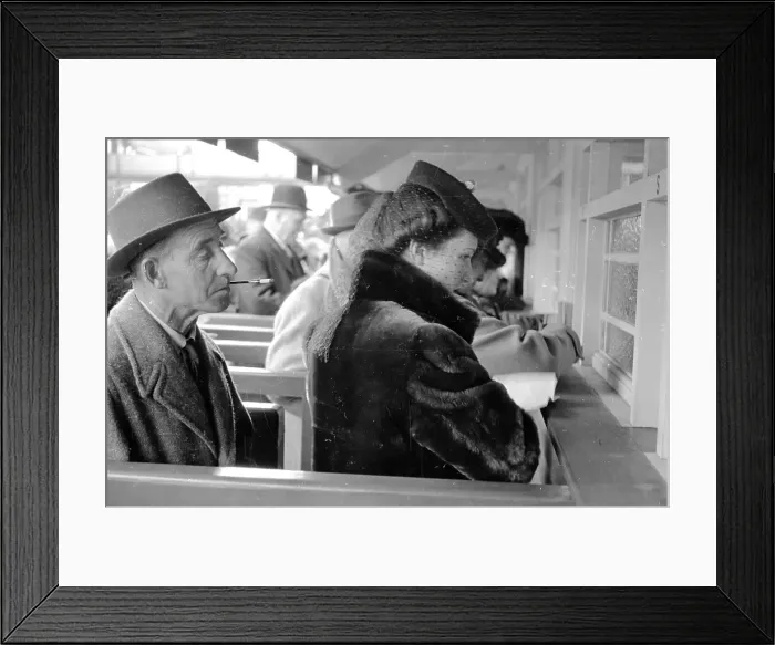 Framed Print : Window Bets Framed Print : Window Bets