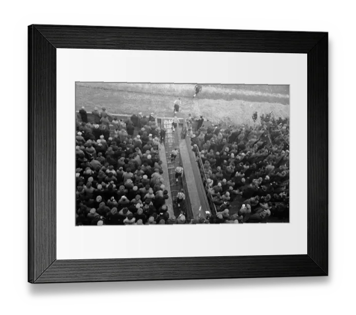 Framed Print : Newcastle United Framed Print : Newcastle United