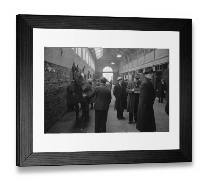 Framed Print : Glaswegian Horse Traders Framed Print : Glaswegian Horse Traders