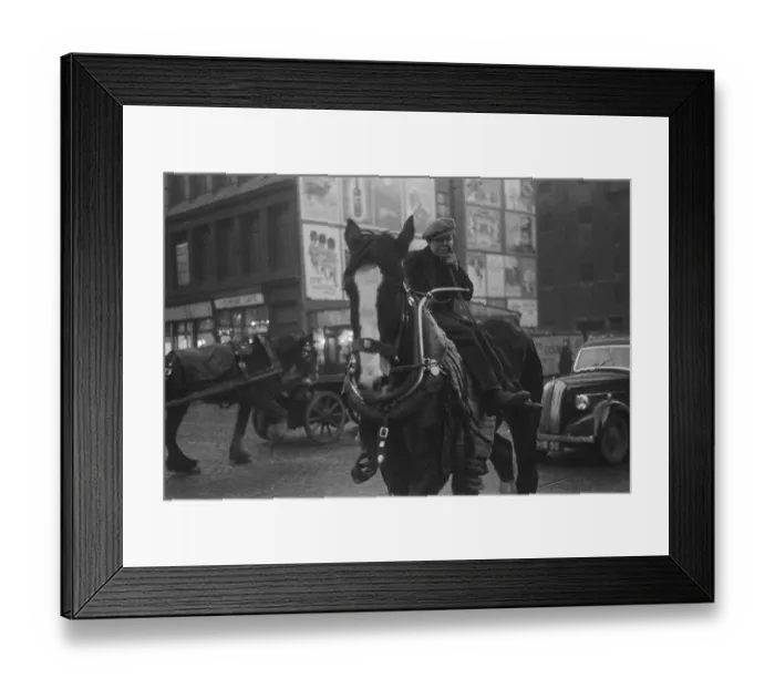Framed Print : Glaswegian Trace Horse