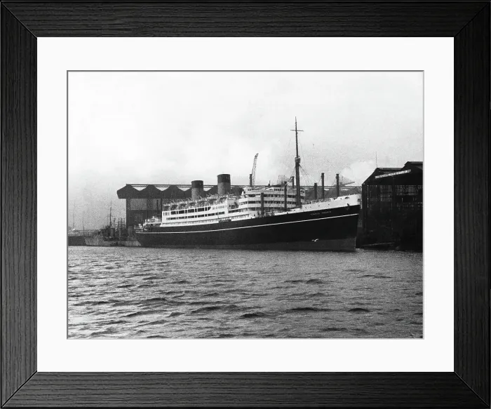 Framed Print : Dominion Monarch Framed Print : Dominion Monarch