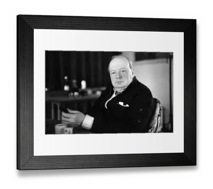 Framed Print : Winston At Home