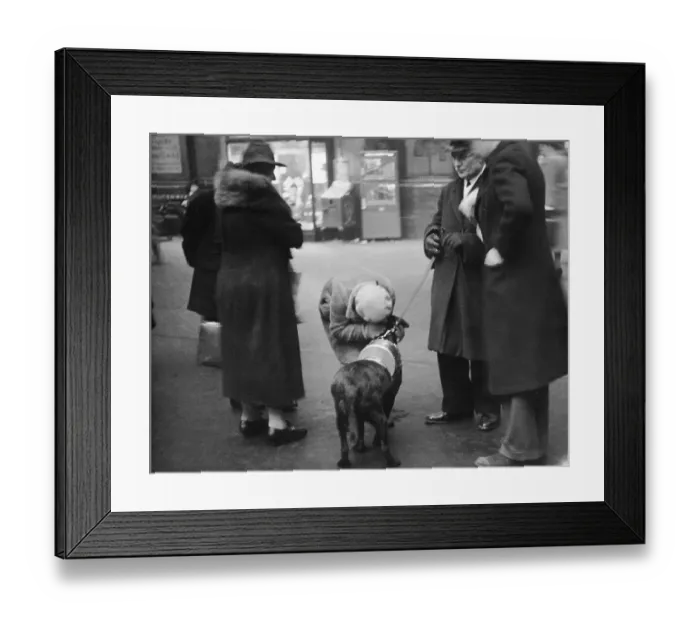 Framed Print : Good Dog. A dog with a charity collecting tin on its back receives a hug Framed Print : Good Dog. A dog with a charity collecting tin on its back receives a hug
