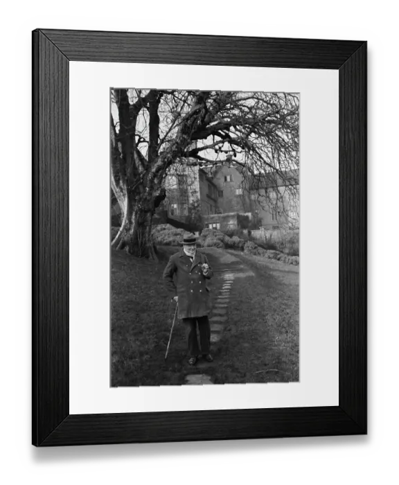 Framed Print : Churchill At Chartwell Framed Print : Churchill At Chartwell