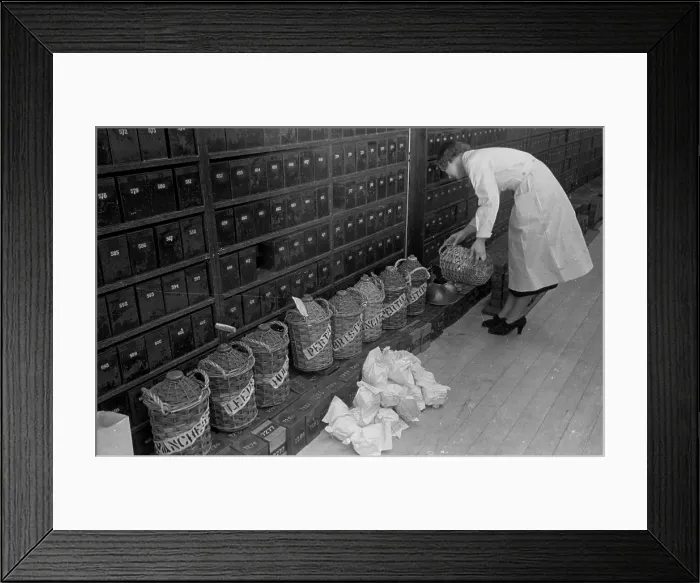 Framed Print : Testing The Waters Framed Print : Testing The Waters