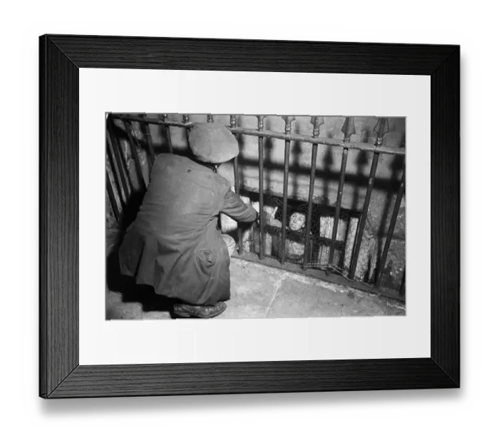 Framed Print : Scraping By Framed Print : Scraping By