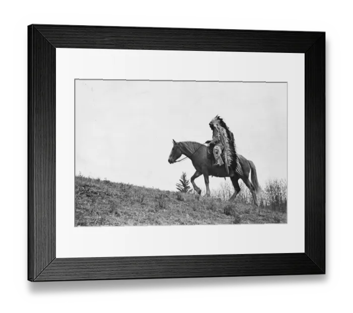 Framed Print : Chief Bears Paw Framed Print : Chief Bears Paw