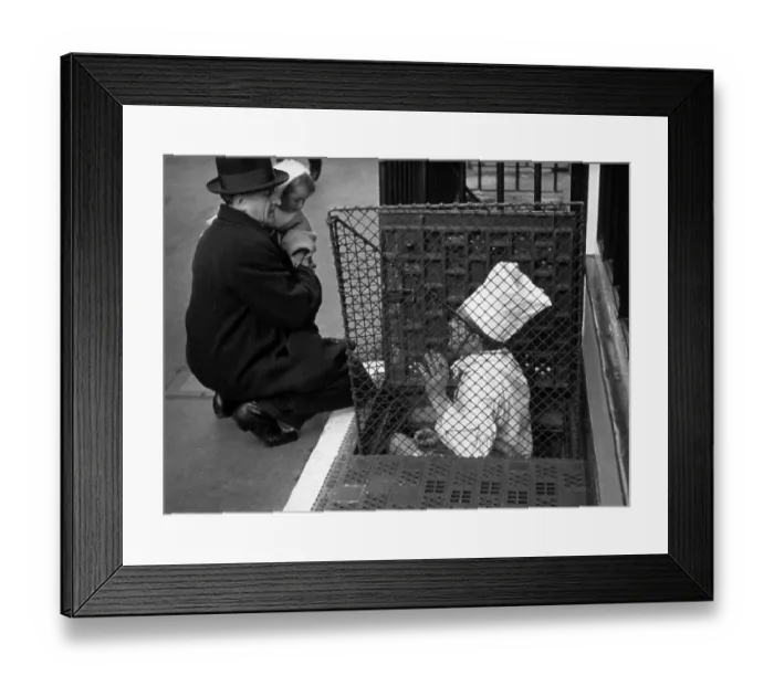 Framed Print : Pavement Chef Framed Print : Pavement Chef