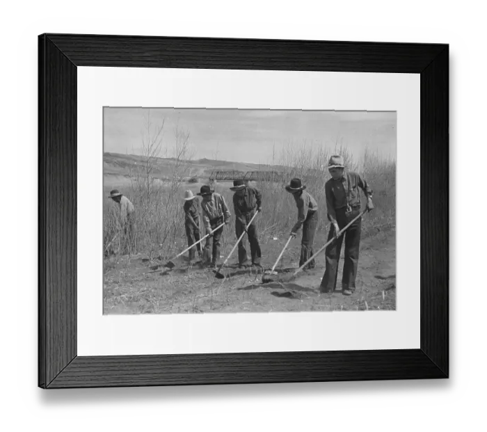 Framed Print : Agricultural Lesson Framed Print : Agricultural Lesson