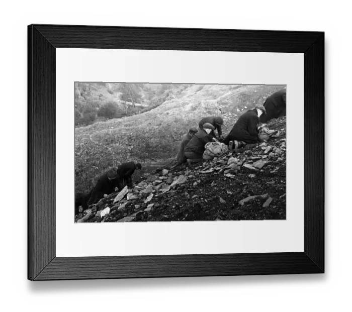 Framed Print : Slag Heap Search Framed Print : Slag Heap Search