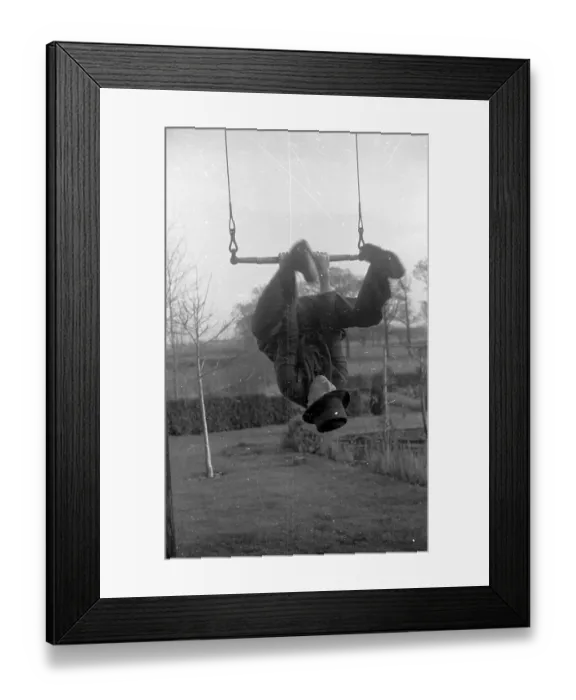 Framed Print : Old Swinger Framed Print : Old Swinger
