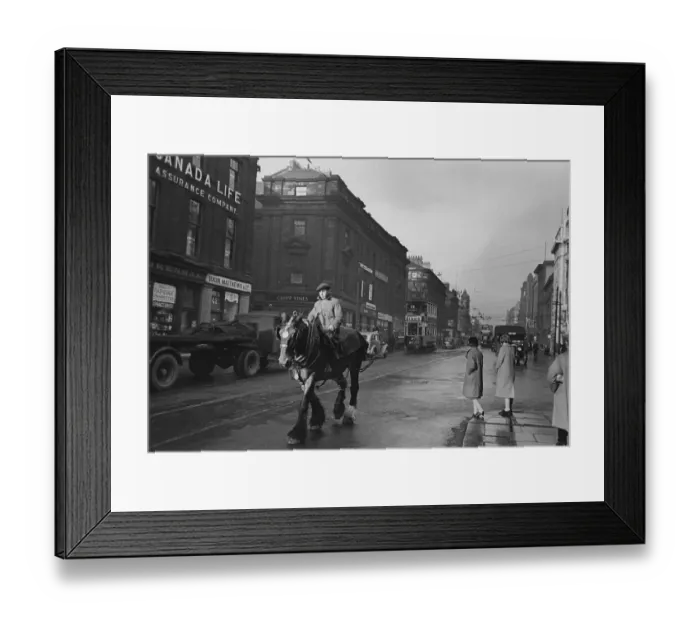 Framed Print : Workhorse In Newcastle Framed Print : Workhorse In Newcastle