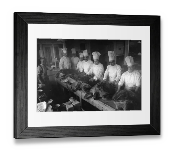 Framed Print : Preparing Turtles Framed Print : Preparing Turtles
