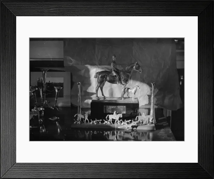 Framed Print : Hunting Trophy Framed Print : Hunting Trophy