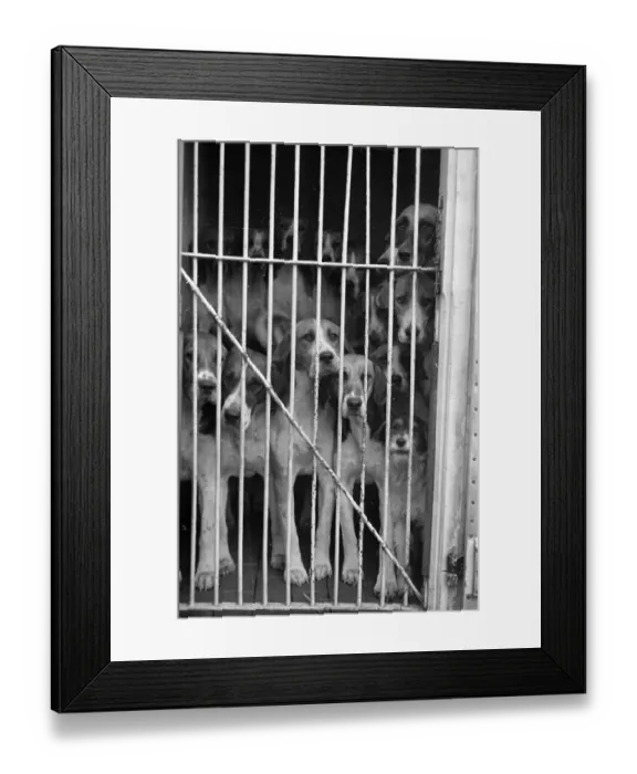 Framed Print : Left Behind Framed Print : Left Behind