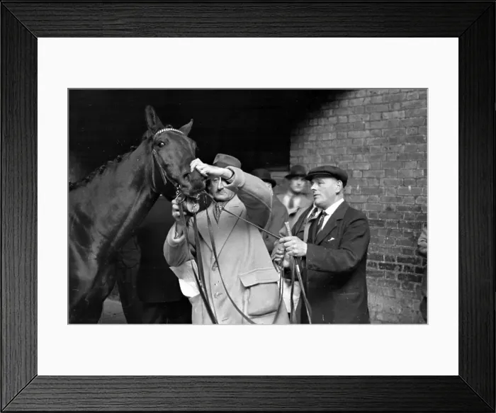Framed Print : Checking Teeth Framed Print : Checking Teeth