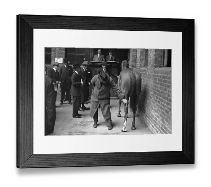 Framed Print : Examining The Goods Framed Print : Examining The Goods