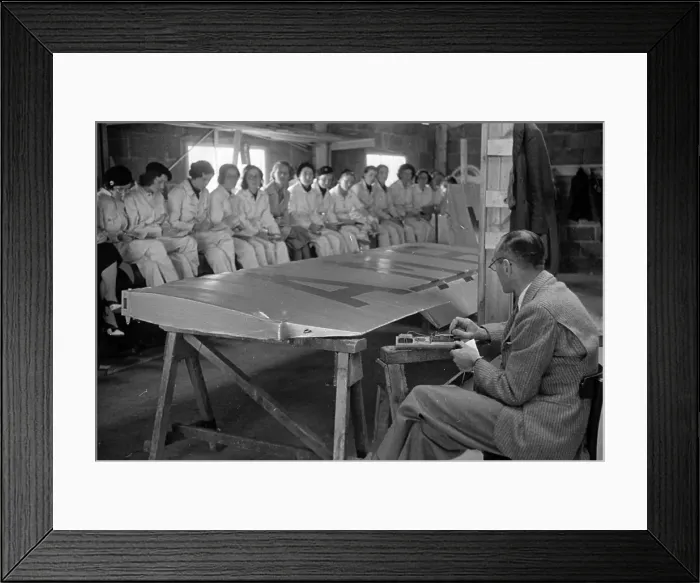 Framed Print : Flight Theory Framed Print : Flight Theory