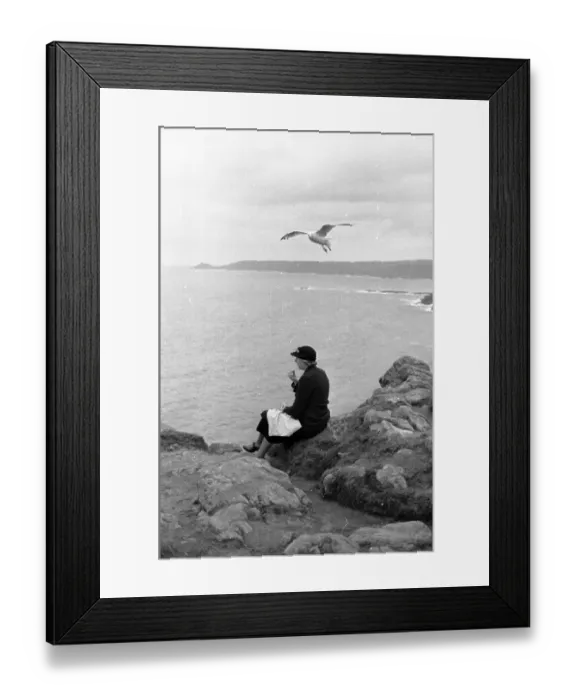 Framed Print : Peaceful Lunch Framed Print : Peaceful Lunch