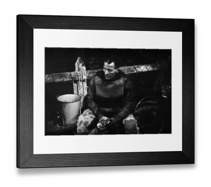 Framed Print : Bluey Wilkinson Framed Print : Bluey Wilkinson