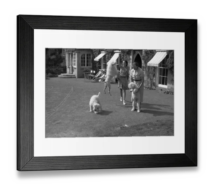 Framed Print : The Dame And Her Dogs Framed Print : The Dame And Her Dogs