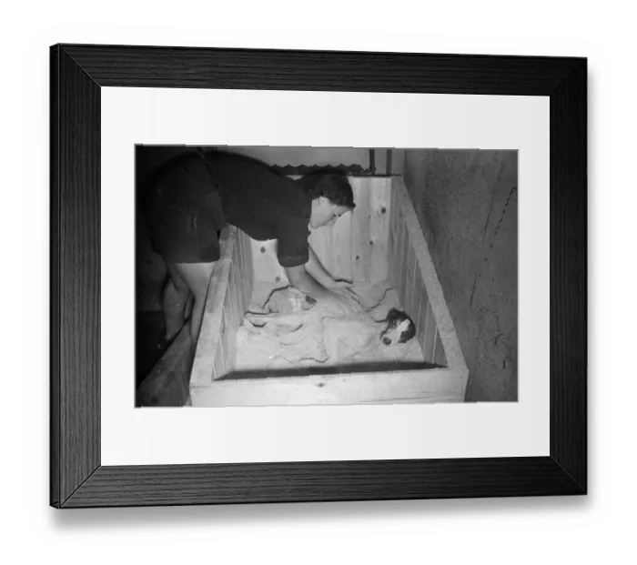Framed Print : Rub With Sawdust Framed Print : Rub With Sawdust