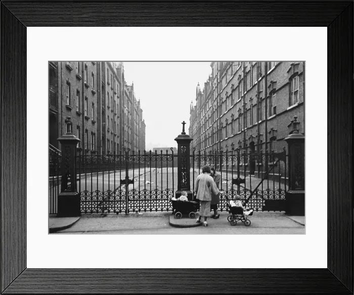 Framed Print : Mothers And Babies Framed Print : Mothers And Babies