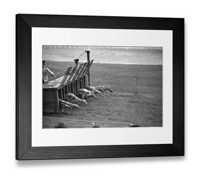 Framed Print : Start Of Race Framed Print : Start Of Race