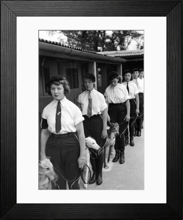 Framed Print : Attendants And Dogs Framed Print : Attendants And Dogs