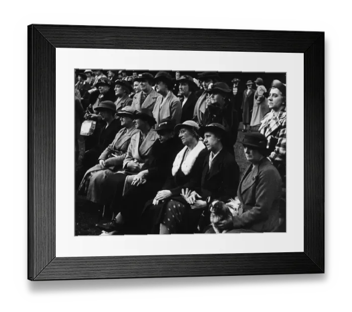 Framed Print : Pensions For Spinsters Framed Print : Pensions For Spinsters