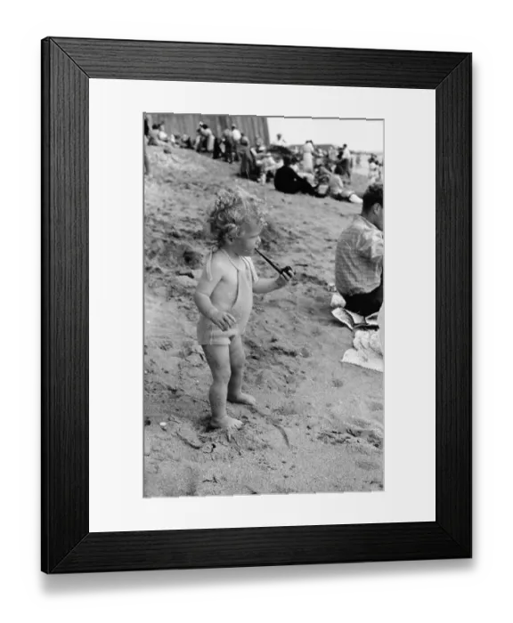Framed Print : Sand Piper Framed Print : Sand Piper