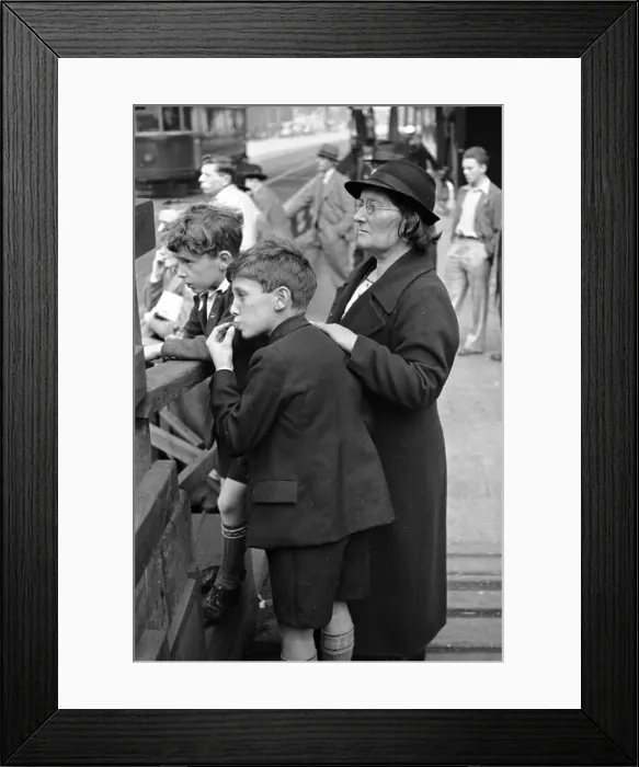 Framed Print : Stop And Stare Framed Print : Stop And Stare