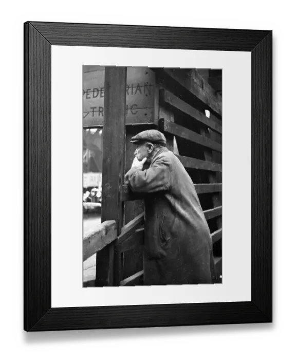 Framed Print : Stop And Stare Framed Print : Stop And Stare