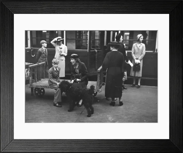 Framed Print : Back To School Framed Print : Back To School