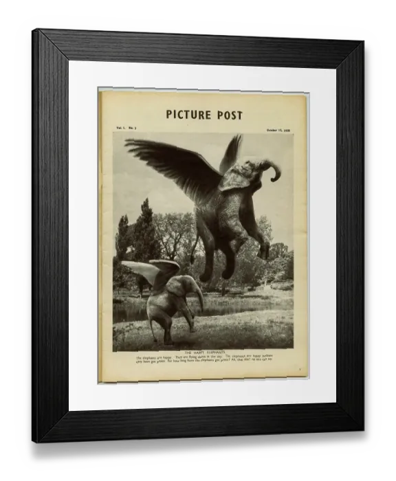Framed Print : The Happy Elephants Framed Print : The Happy Elephants