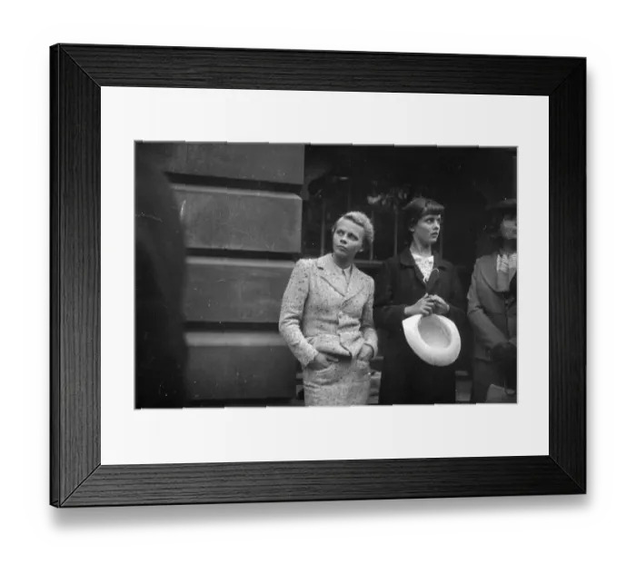 Framed Print : Whitehall Tourists Framed Print : Whitehall Tourists