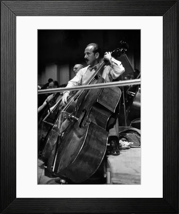 Framed Print : Double Bassist Framed Print : Double Bassist