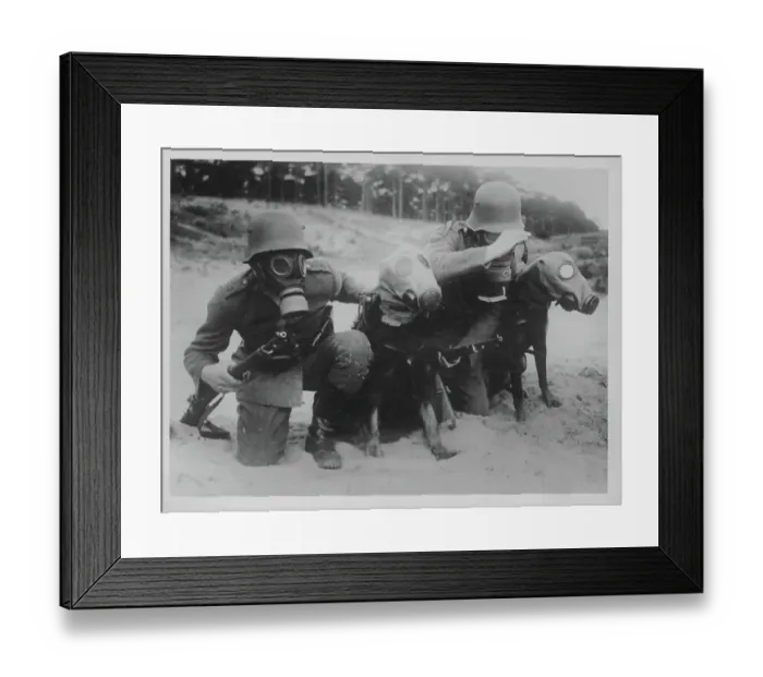 Framed Print : World War Two