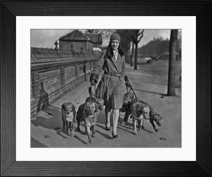 Framed Print : Going To The Dog Show Framed Print : Going To The Dog Show