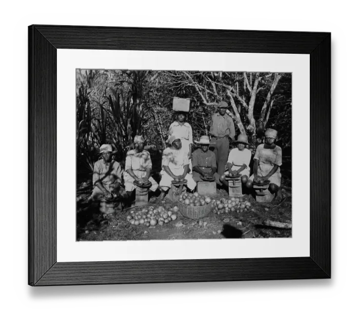 Framed Print : Jamaican Orange Rinders Framed Print : Jamaican Orange Rinders