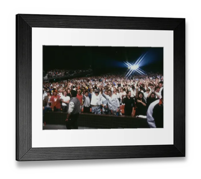 Framed Print : Audience At A Beastie Boys Concert Framed Print : Audience At A Beastie Boys Concert