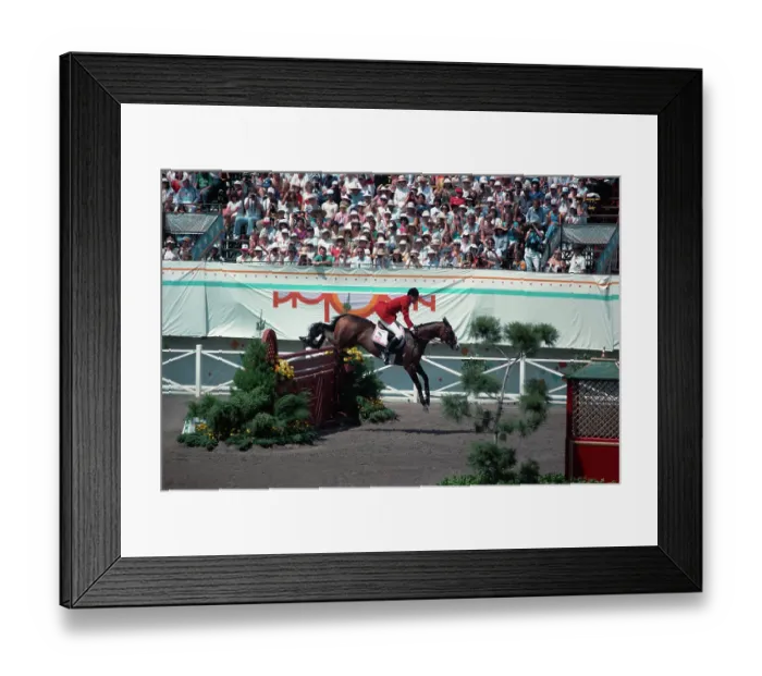Framed Print : 1984 Summer Olympics - Equestrian - Individual Jumping Framed Print : 1984 Summer Olympics - Equestrian - Individual Jumping