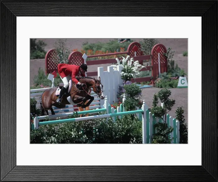 Framed Print : 1984 Summer Olympics - Equestrian - Individual Jumping Framed Print : 1984 Summer Olympics - Equestrian - Individual Jumping