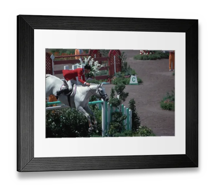 Framed Print : 1984 Summer Olympics - Equestrian - Individual Jumping Framed Print : 1984 Summer Olympics - Equestrian - Individual Jumping