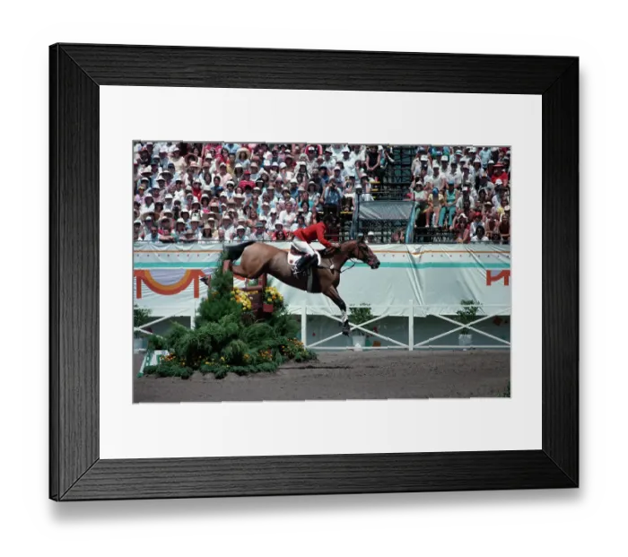 Framed Print : 1984 Summer Olympics - Equestrian - Individual Jumping Framed Print : 1984 Summer Olympics - Equestrian - Individual Jumping
