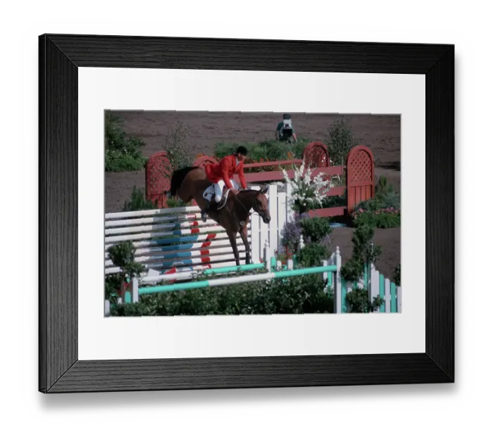 Framed Print : 1984 Summer Olympics - Equestrian - Individual Jumping Framed Print : 1984 Summer Olympics - Equestrian - Individual Jumping