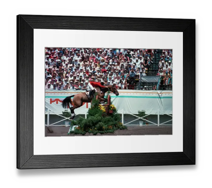 Framed Print : 1984 Summer Olympics - Equestrian - Individual Jumping Framed Print : 1984 Summer Olympics - Equestrian - Individual Jumping