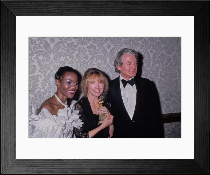 Framed Print : 38th Golden Globe Awards Framed Print : 38th Golden Globe Awards