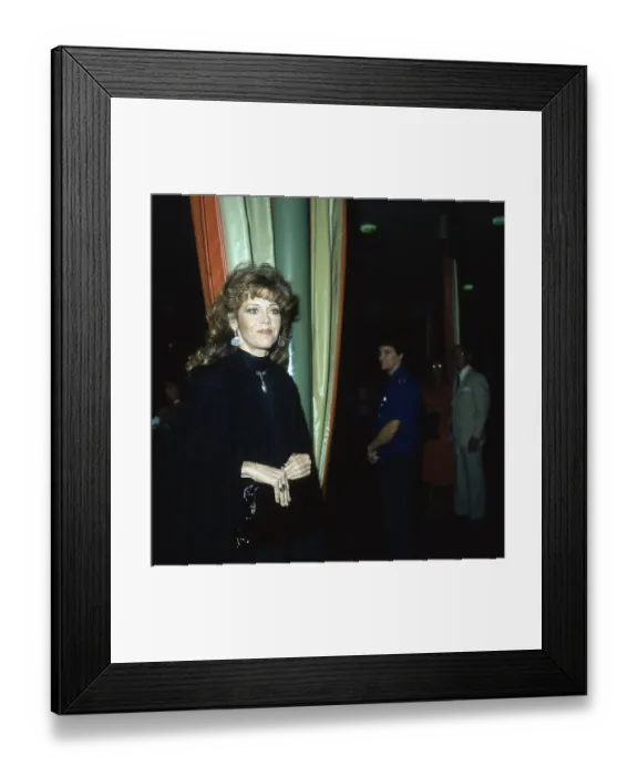 Framed Print : 37th Golden Globe Awards Framed Print : 37th Golden Globe Awards